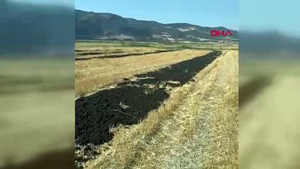 Doğanın katilleri suç üst yakalandı: Ne yaptıklarına inanamayacaksınız!