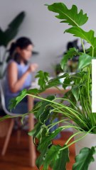 Encerramento de MEI em São Paulo | Baixa de Microempreendedor em São Paulo