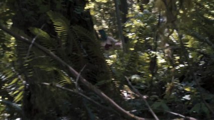 The Night Devours 2024