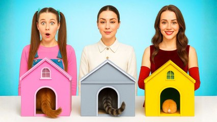 Construire des maisons pour animaux étonnantes ! Défi de relooking : chambre pauvre vs VIP #wowcube