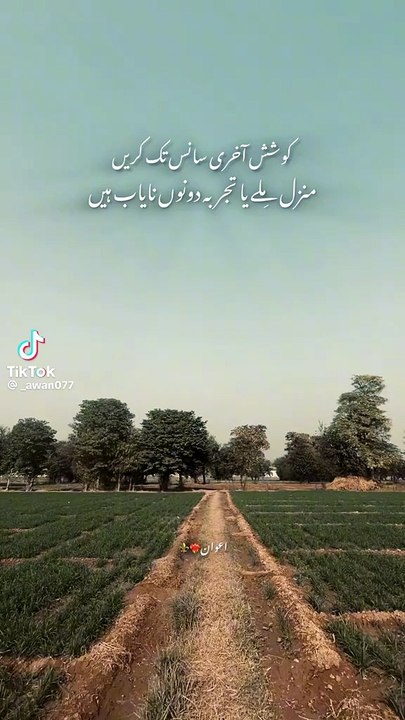 Status for boyz Dialogues