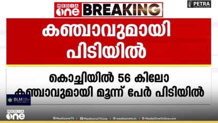 കൊച്ചിയിൽ 56 കിലോ കഞ്ചാവുമായി മൂന്ന് പേർ പിടിയിൽ