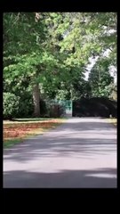 Mafia's Tender Torture #SF25