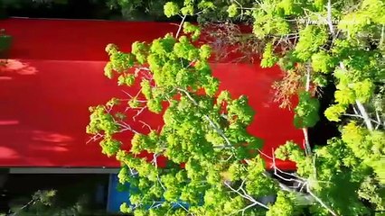 Desafío del Siglo XXI - Capítulo 99 Completo