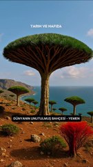 Dünyanın en gizemli 5 yeri Scootra Adası