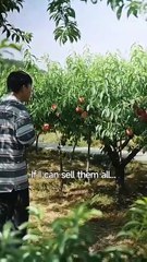 HERBS, HOTTIES & HEADACHES