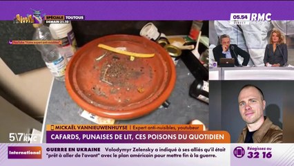 Mickaël Vannieuwenhuyse à votre service : Comment lutter efficacement contre les nuisibles ? - 26/11