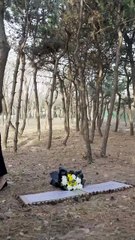 Emily unexpectedly inherits a huge fortune and is determined to uncover the truth. #drama - YouTube