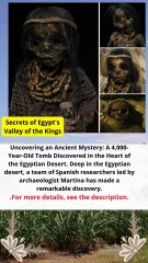 Uncovering an Ancient Mystery 4,000-Year-Old Tomb Discovered in the Heart of the Egyptian Desert