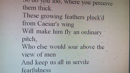 JULIUS CAESAR, ACT - I, SCENE - I, Line No 71 to 78 Explained