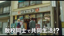 映画『純愛上等！』