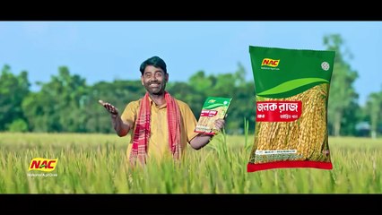 EPISODE 28  Bachelor Point  S5  Kabila  Habu  Pasha  Shimul  Kajal Arefin Ome  Boom Films#1765