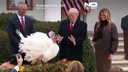 Trump pardons Thanksgiving turkeys Waddle and Gobble in annual tradition