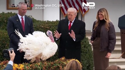 Trump begnadigt die Truthähne Waddle und Gobble beim jährlichen Thanksgiving-Ritual