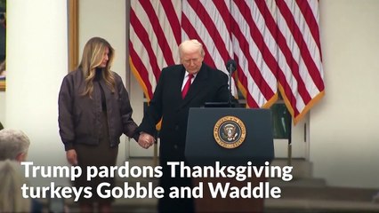 Trump pardons Thanksgiving turkeys Gobble and Waddle in annual holiday tradition