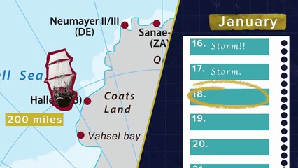 How Did Shackleton Survive The Endurance Expedition