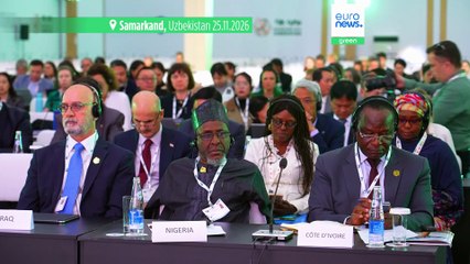 Samarkand hosts first CITES summit in Central Asia, gathering nations for wildlife protection