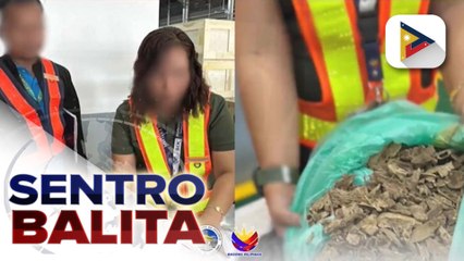 Higit P8.4-M na halaga ng Agarwoods na tinangkang ipuslit palabas ng bansa, naharang ng BOC