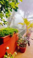 Step into the beauty of the tea plantation Teanest Coonoor