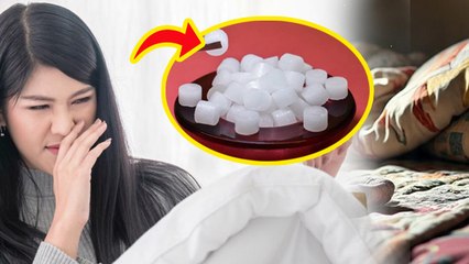 Smell From Blankets: कंबल से बदबू कैसे हटाएँ, सीलन की बदबू दूर करने के 3 आसान उपाय | Boldsky