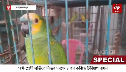 পক্ষী প্ৰেম কাক কয় সেয়া চাবলৈ আহক সুজিতৰ ঘৰলৈ, যেন এক আচৰিত পৃথিৱী