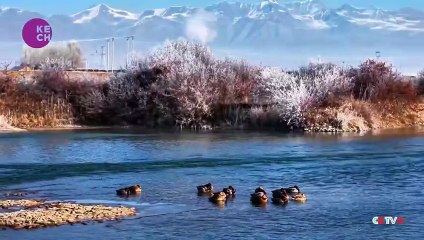 Cold front brings snow and wind to parts of western, northern China