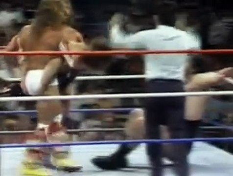 The Ultimate Warrior & Hacksaw Jim Duggan vs Ravishing Rick Rude & Andre The Giant
