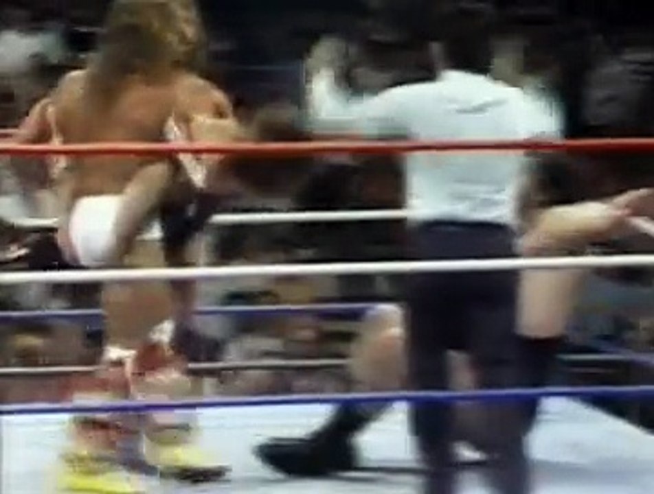 The Ultimate Warrior & Hacksaw Jim Duggan vs Ravishing Rick Rude & Andre The Giant