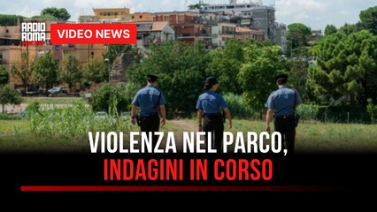 Violenza nel parco, indagini in corso