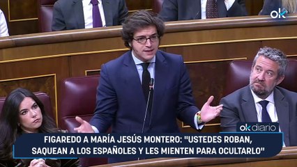Figaredo a María Jesús Montero: "Ustedes roban, saquean a los españoles y les mienten para ocultarlo"