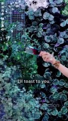 Married Fast, I'm A Secret Healer!