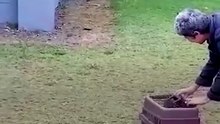 A monkey's reaction to reuniting with his family after weeks of injury recovery.