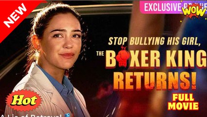 Stop Bullying His Girl, the Boxer Kinh Returns! 🎁🔥