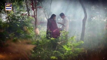 Parwarish - Episode 25