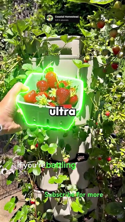 Le fruit le plus RENTABLE à planter ? 🌱 #science