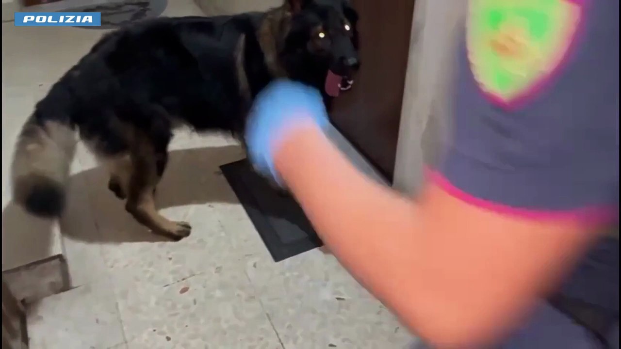 Catania, in casa aveva oltre un chilo tra marijuana e hashish: arrestato