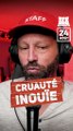 L’ours n’était pas