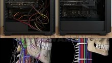 “Why did no doctor ever think of this” #pcgaming #benchmark #rtx5050 #gtx1080ti