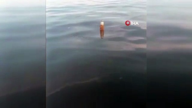 Karadeniz açıklarında gizemli cisim paniği! Balıkçı karı koca buldu...