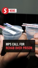 Drug users should be placed in dedicated rehabilitation centres, not prisons, say MPs
