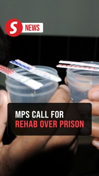 Drug users should be placed in dedicated rehabilitation centres, not prisons, say MPs