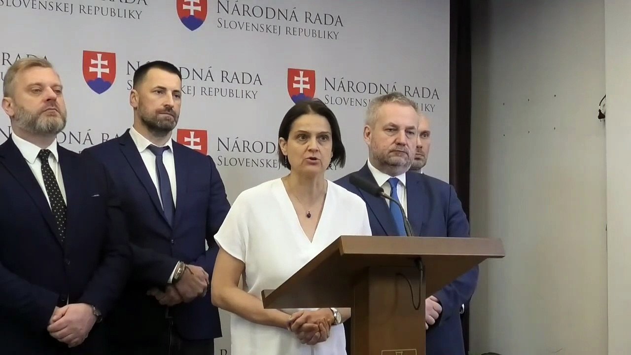 ZÁZNAM: TK strany SaS k aktuálnej politickej situácii