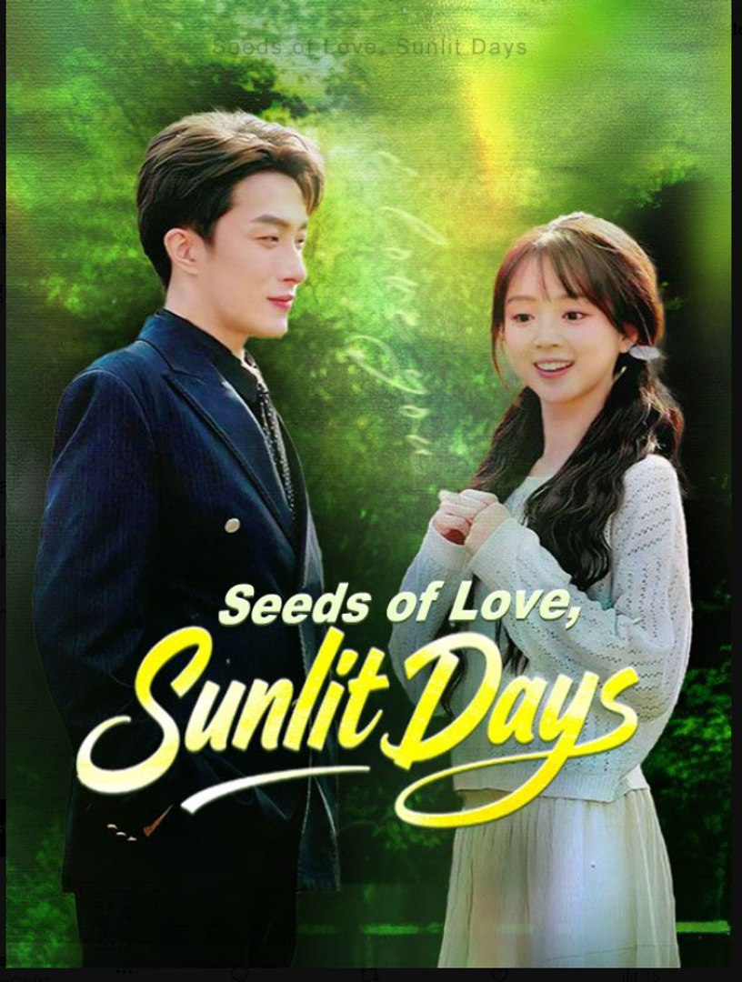 Seeds of Love Sunlit Days Chinese Drama - English Sub