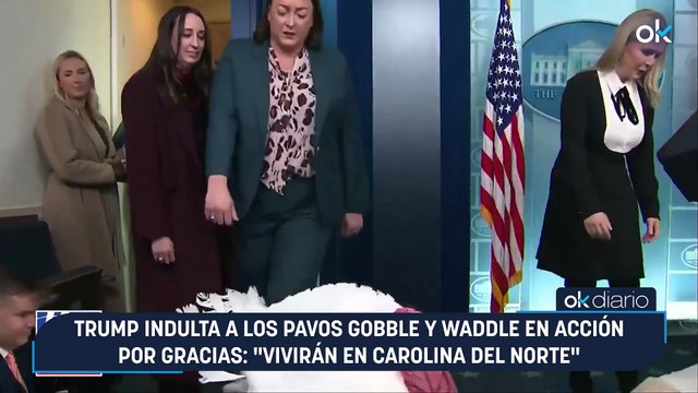 Trump indulta a los pavos Gobble y Waddle en Acción por Gracias: Vivirán en Carolina del Norte