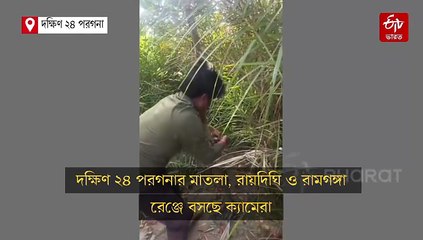 সুন্দরবনে বাঘ সুমারি, বসছে অত্যাধুনিক ইনফ্রা-রে ক্যামেরা
