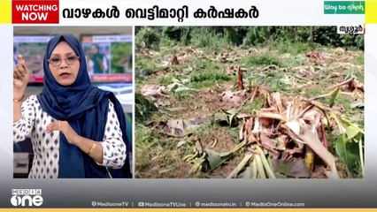 കാട്ടാന ശല്യത്തെ തുടർന്ന്  കൃഷി നടത്താൻ കഴിയാതായതോടെ സ്വന്തം തോട്ടത്തിലെ വാഴകൾ വെട്ടി മാറ്റി കർഷകൻ.