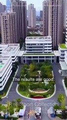 Twin Cupids: Love's Intertwined Paths