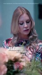 Revenge Of The Abandoned Heiress