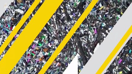 Scientists Find Fungi Capable of Living on Plastic—and Breaking It Down.mp4