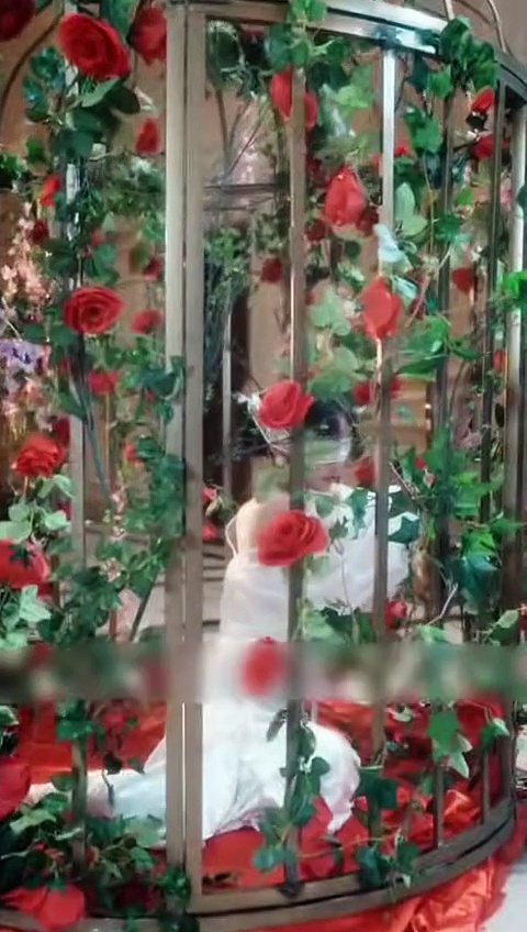  Mencoba menaklukkan ceo licik | trying to tame wicked ceo | drama pendek china sub indo